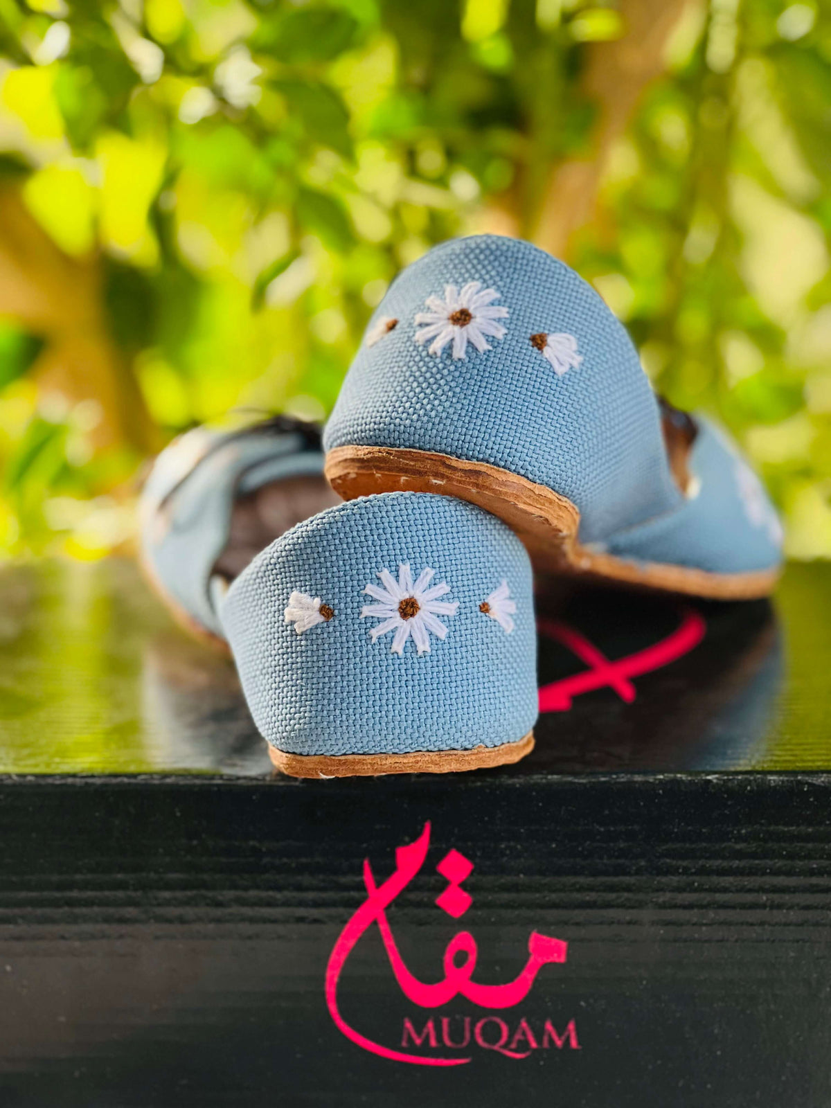 Suraj Mukhi🌻Pacific Blue